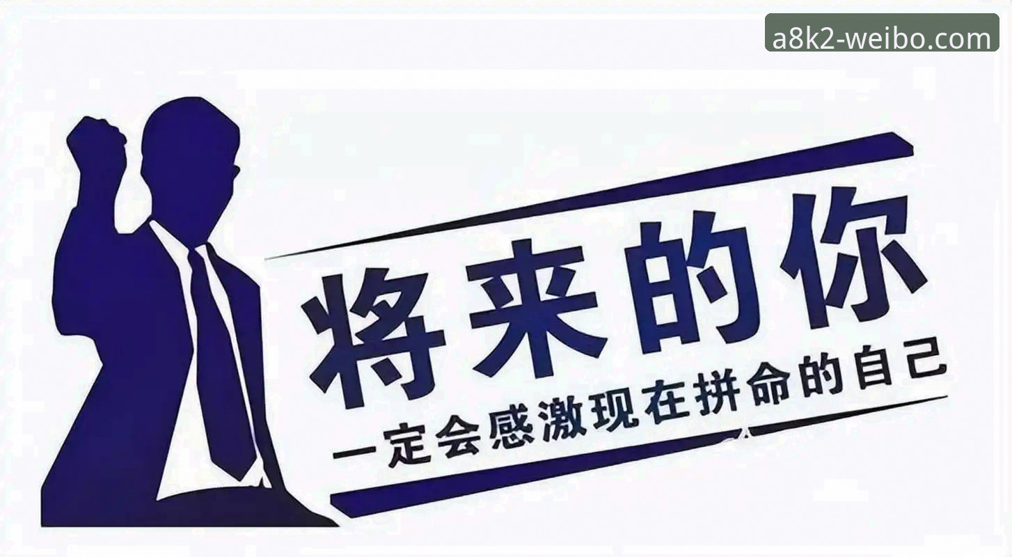 伟博体育平台入口攻略：从下载到实战的完整指南